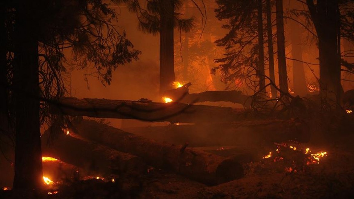ABD'nin Colorado eyaletindeki yangınlar etkili olmaya devam ediyor