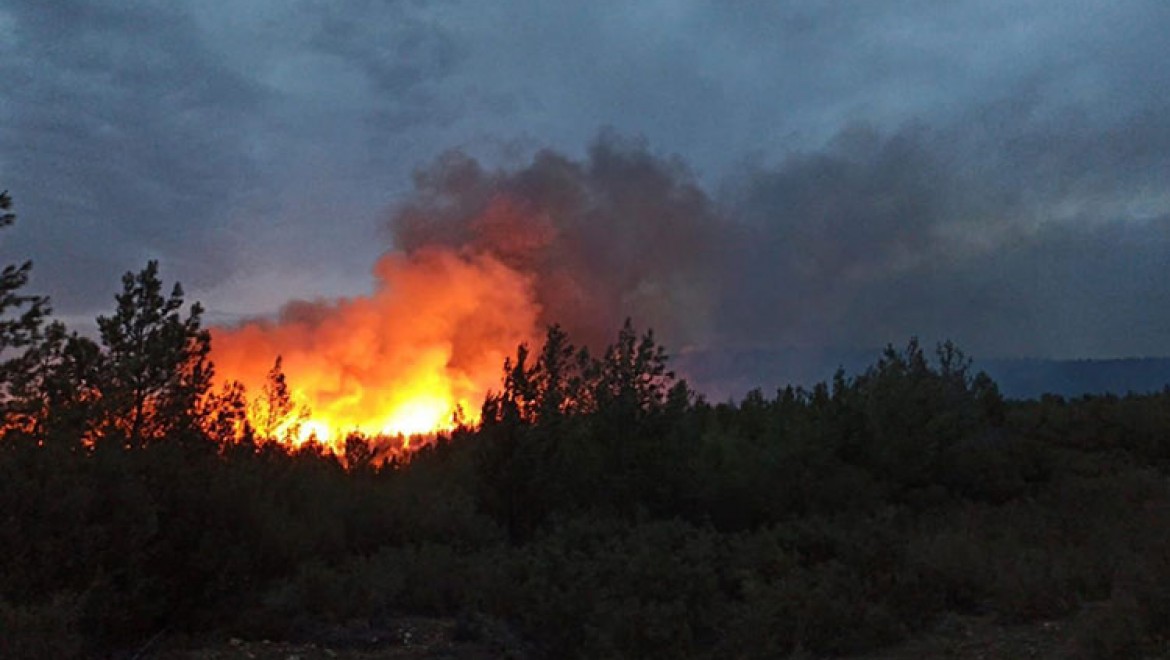 Muğla'nın Menteşe ve Kavaklıdere ilçelerinde çıkan orman yangınları söndürüldü