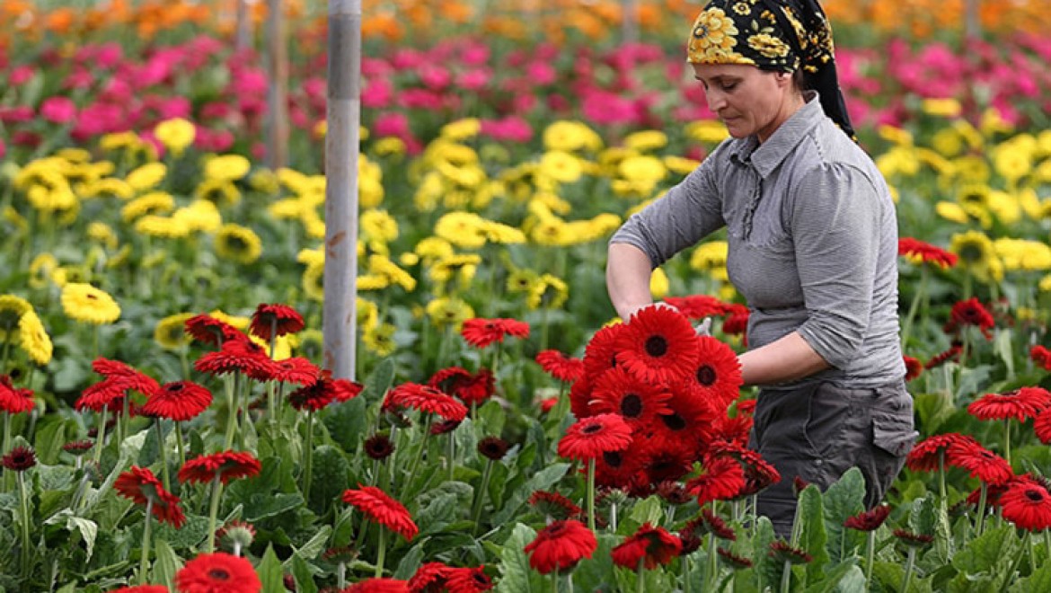 Türkiye'nin tarım ihracatı bu yıl aylık bazda 2 milyar doların altına düşmedi