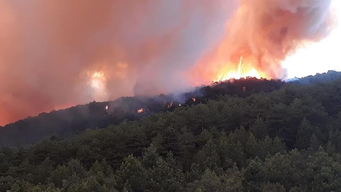 Kastamonu'daki Orman Yangını Söndürüldü