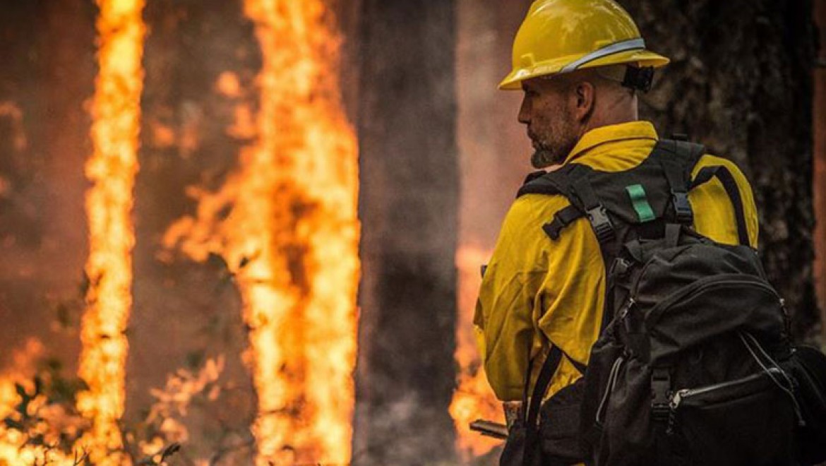 Amazon ormanlarında yılbaşından bu yana 72 binden fazla yangın çıktı