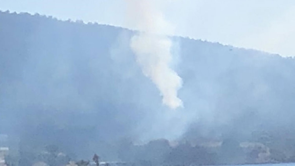 Muğla'nın Bodrum ilçesinde orman yangını