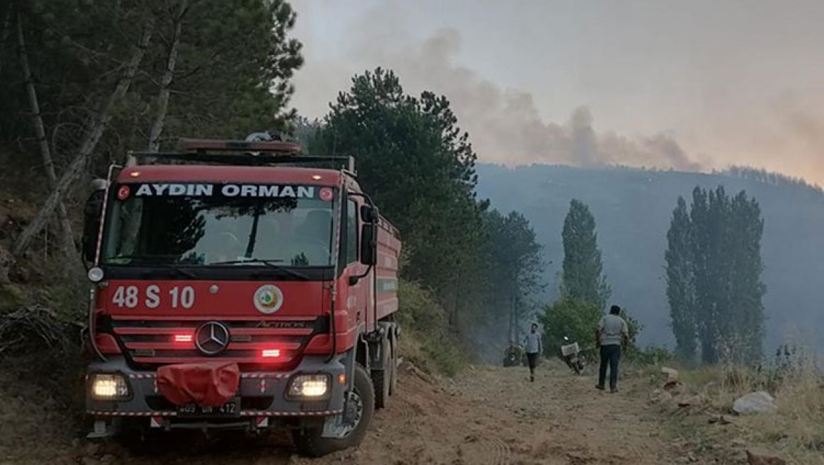 Aydın'daki orman yangını nedeniyle bir mahalle kısmen tahliye edildi