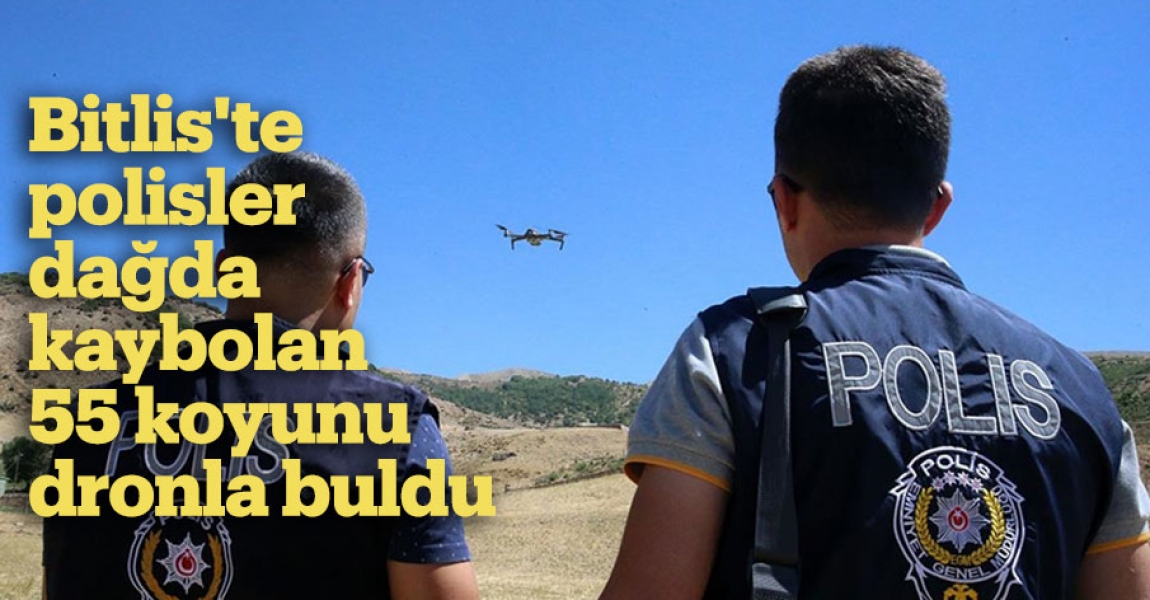 Bitlis'te polisler dağda kaybolan 55 koyunu dronla buldu