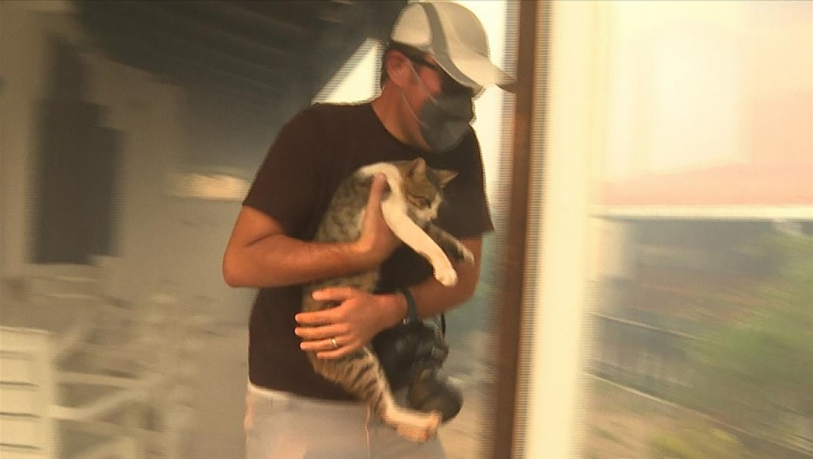 Milas'taki yangında evin balkonunda mahsur kalan kedi gazeteciler tarafından kurtarıldı