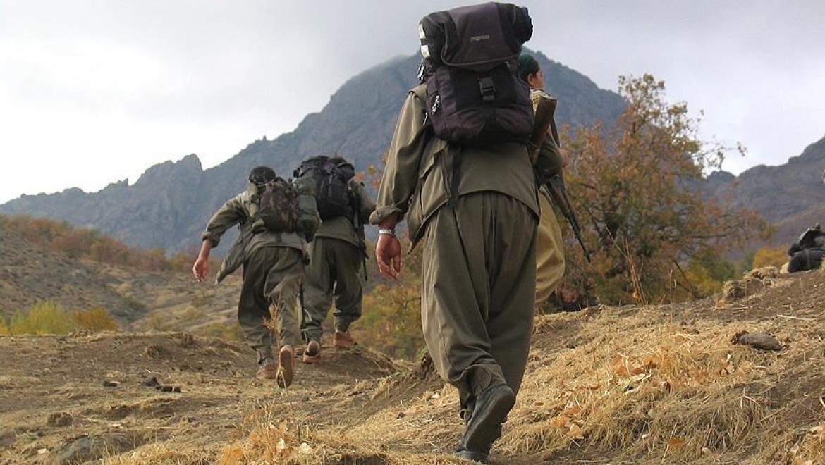 Mardin'de bir PKK'lı terörist güvenlik güçlerine teslim oldu