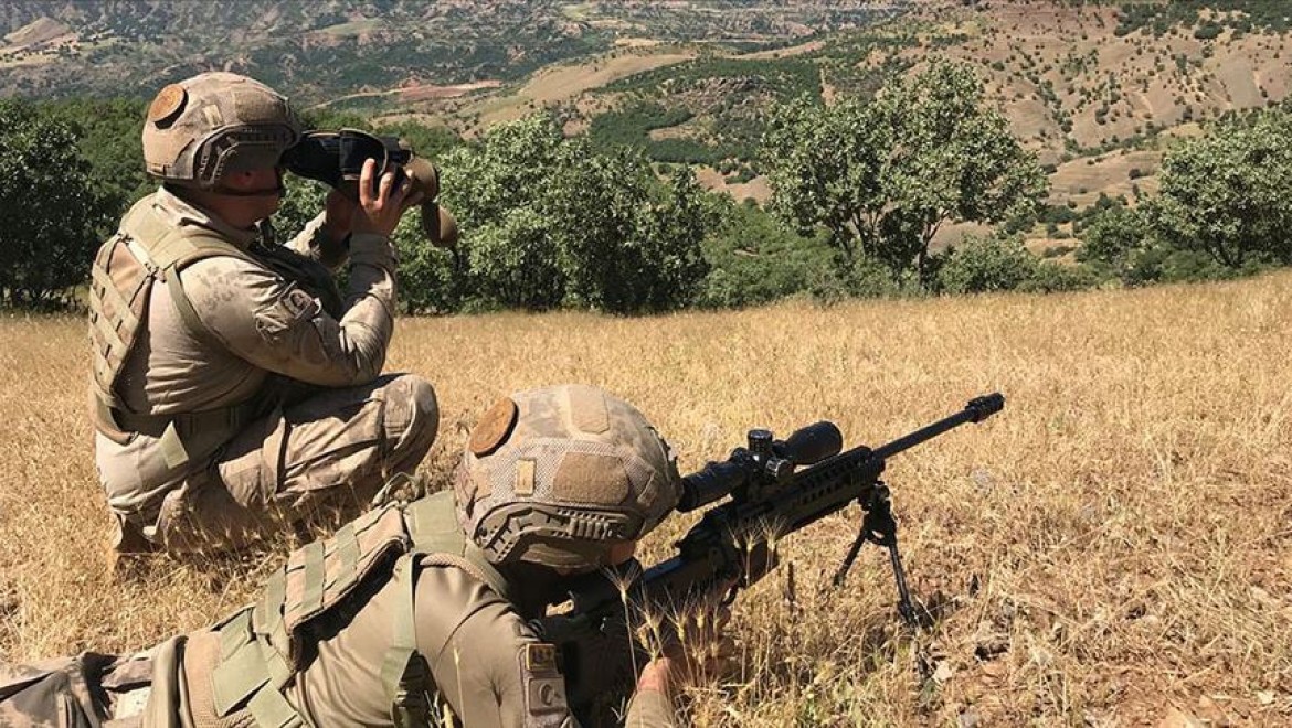 Bitlis kırsalında 3 terörist etkisiz hale getirildi