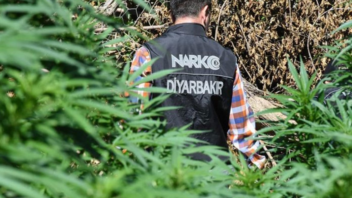 Diyarbakır merkezli 5 ilde 'narkoterör finans' operasyonu başlatıldı