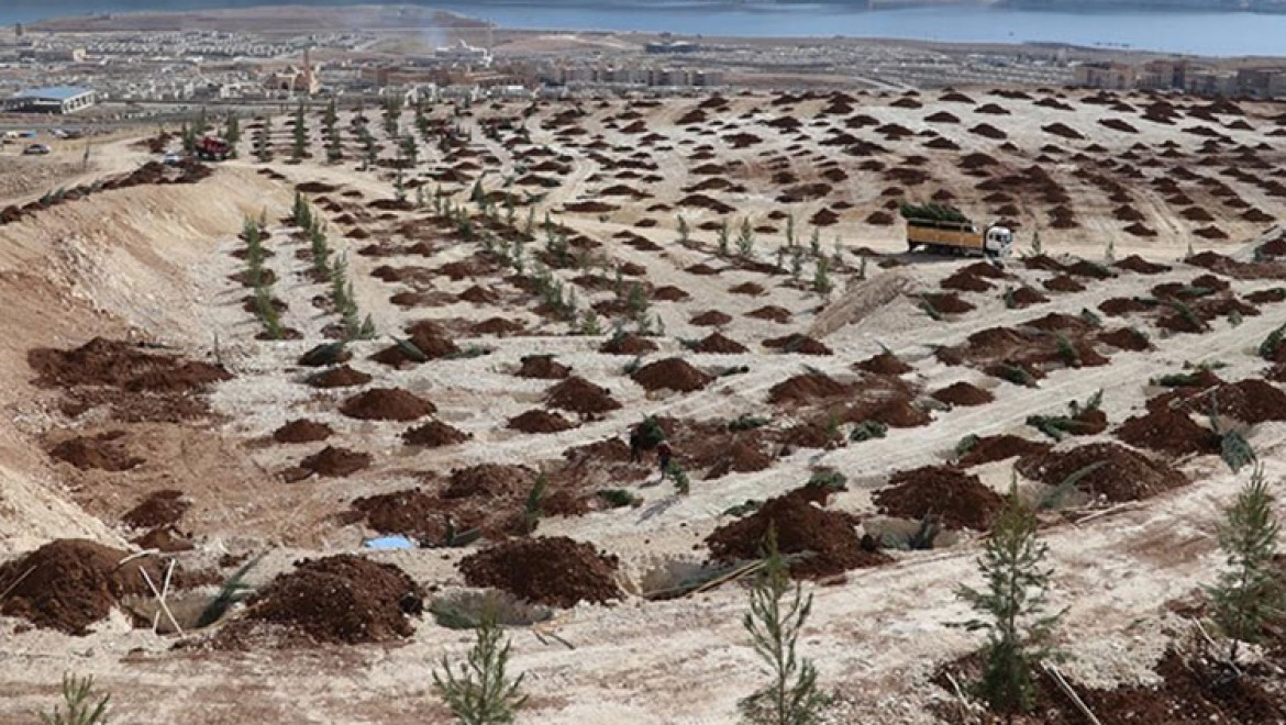 Türkiye'de çölleşme ve kuraklıkla mücadele çalışmaları aralıksız sürüyor