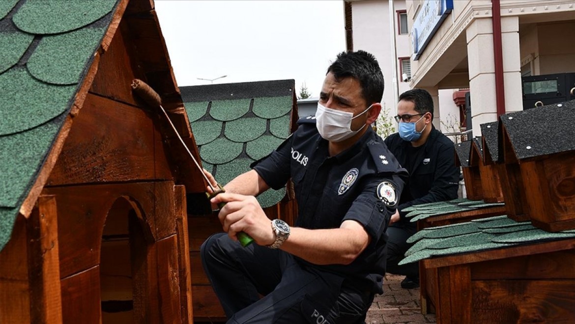 Gönüllü polisler devletin şefkat elini 'sevimli dostlara' uzattı
