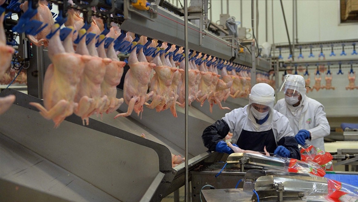 Türk firma tavuk ayağıyla girdiği Çin pazarında hedef yükseltti