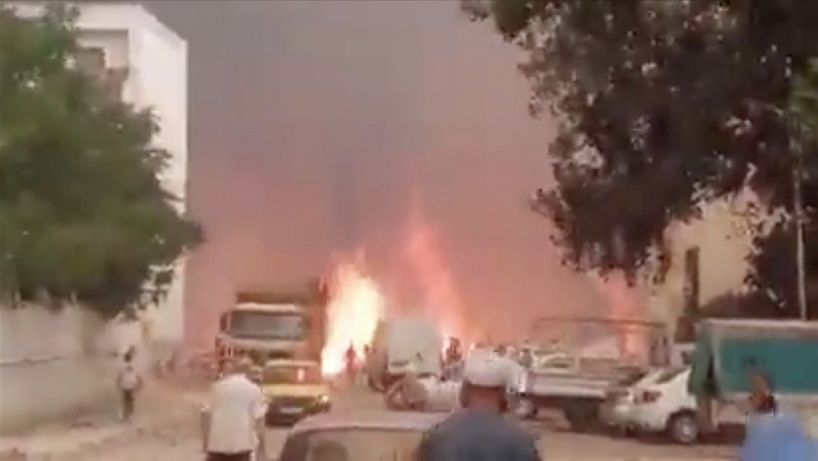 Cezayir'deki orman yangınlarında 26 kişi hayatını kaybetti