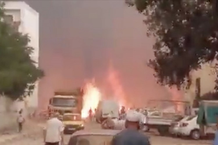 Cezayir'deki orman yangınlarında 26 kişi hayatını kaybetti