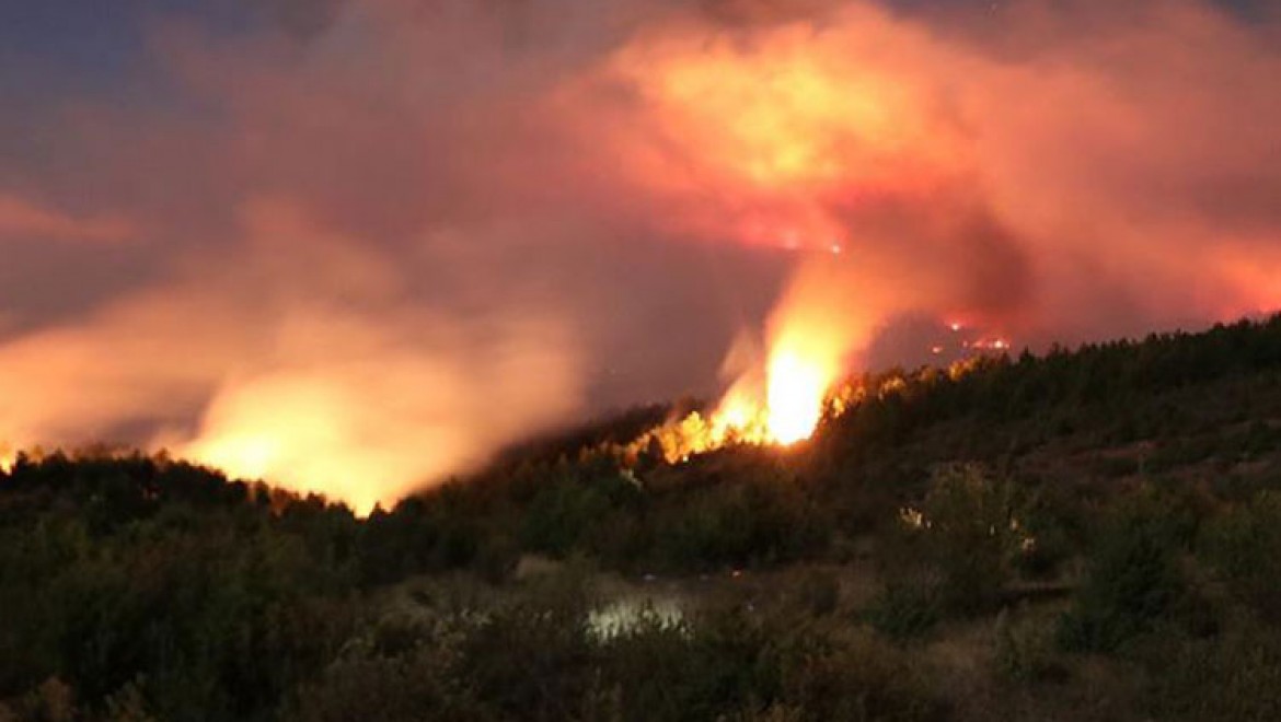 Kastamonu'daki orman yangınına müdahale sürüyor