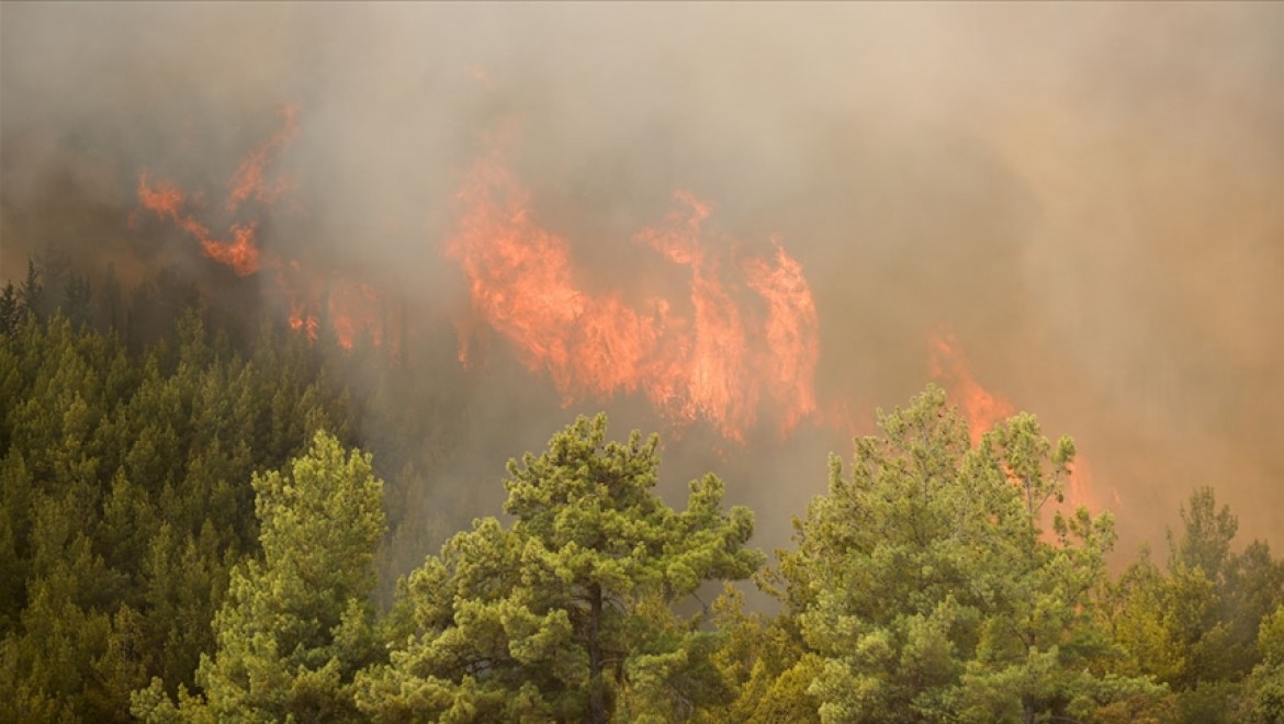 Bakan Pakdemirli Antalya'daki yangına müdahale eden iki kişinin şehit olduğunu bildirdi