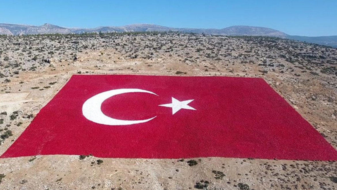 Mersin'de 22 dönümlük araziye işlenen Türk bayrağı 10 kişiyle 40 günde boyandı