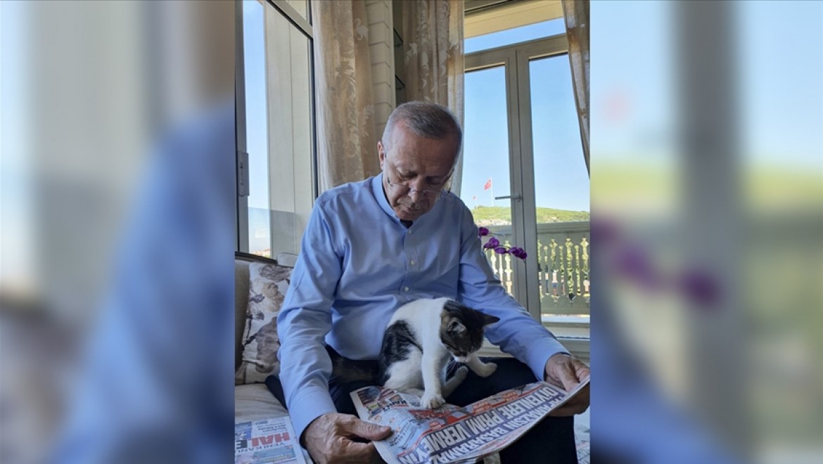 Cumhurbaşkanı Erdoğan torununun kedisiyle fotoğrafını paylaştı