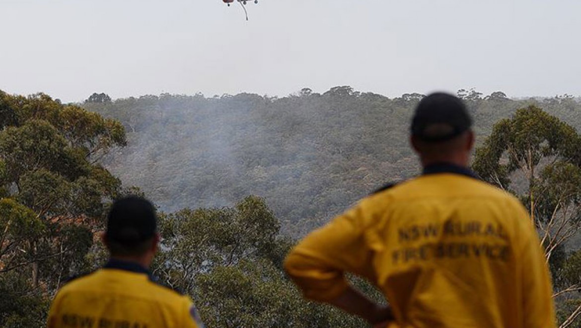 Yangınlar Avustralya'daki ormanların yüzde 21'ini yok etti