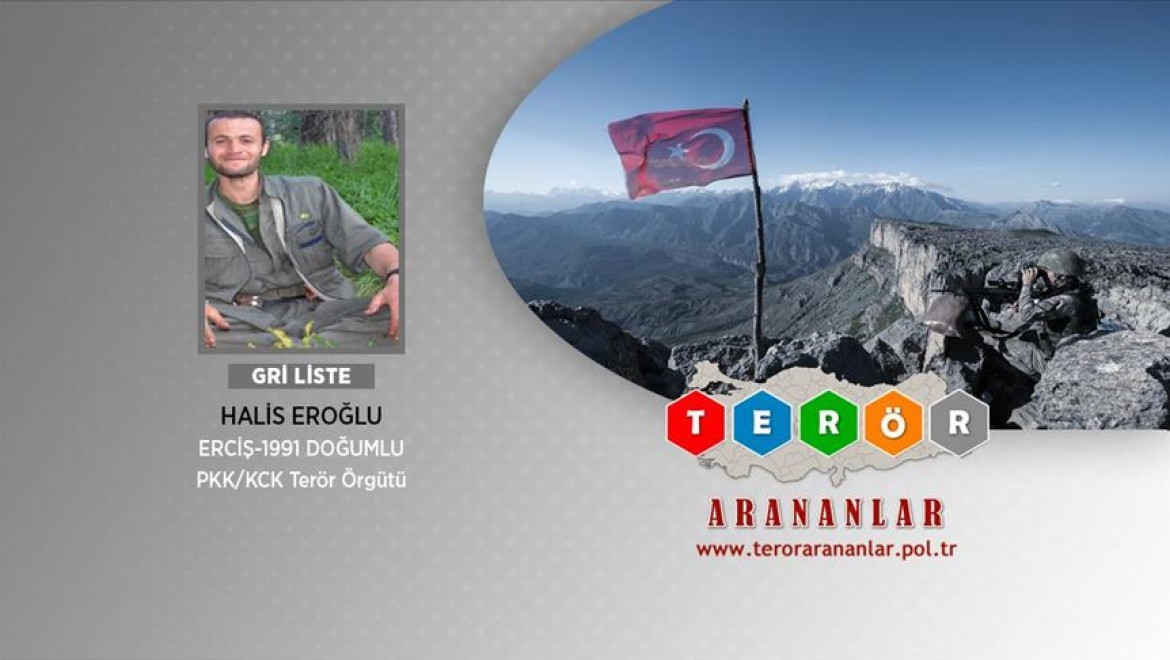 Gri listede aranan terörist Erzurum'da etkisiz hale getirildi