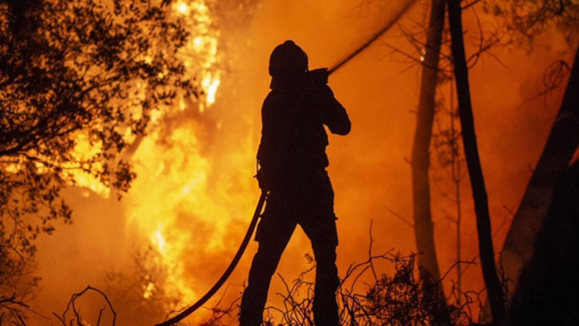 Avrupa'da iklim değişikliği son yılların en yoğun orman yangınlarına yol açıyor