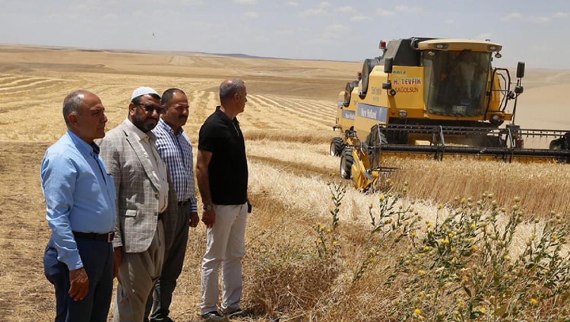 Diyarbakır'da 9 kişinin ölümüne neden olan tarlada hasat, barış heyeti gözetiminde başladı