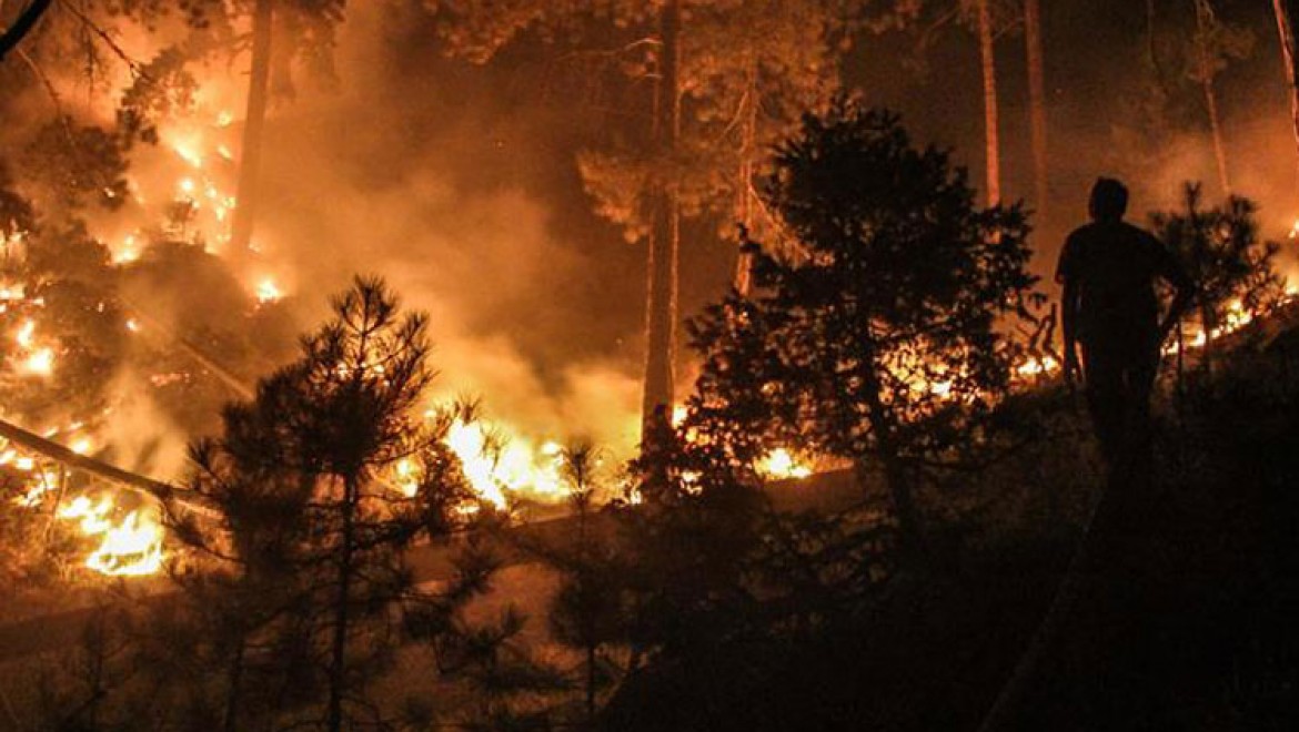 Kütahya'da Çıkan Orman Yangınına Müdahale Ediliyor