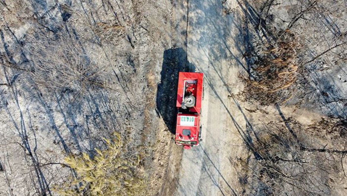 Yangınlarda zarar gören orman alanı bu yıl 2019'u geçti