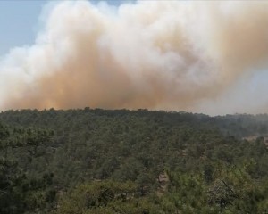 Denizli'de çıkan orman yangınına müdahale ediliyor