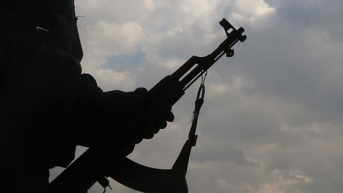 Mardin'de iki PKK'lı terörist güvenlik güçlerine teslim oldu