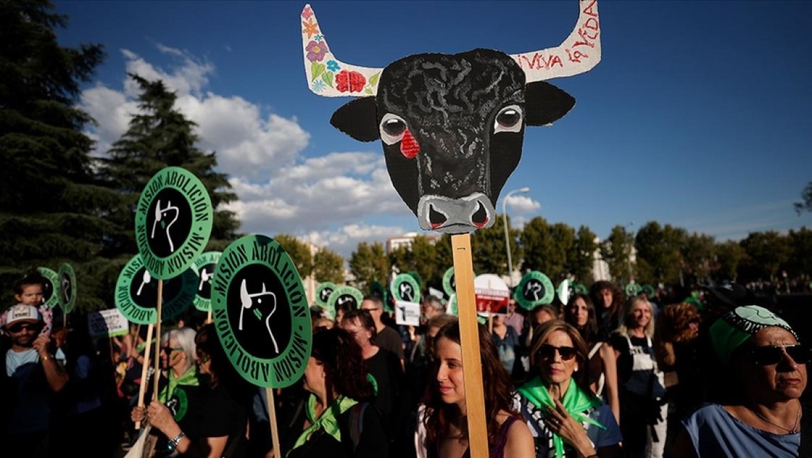 İspanya'da boğa güreşlerinin yasaklanması için Madrid'de gösteri düzenlendi