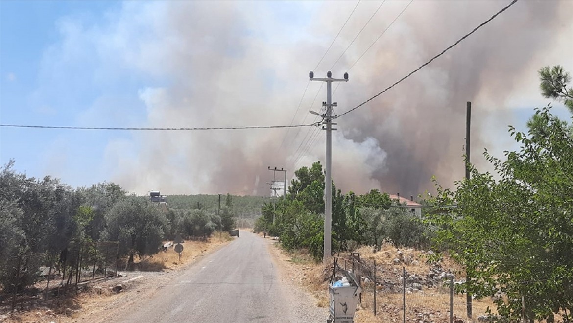 Antalya'nın Demre ilçesindeki orman yangını söndürüldü