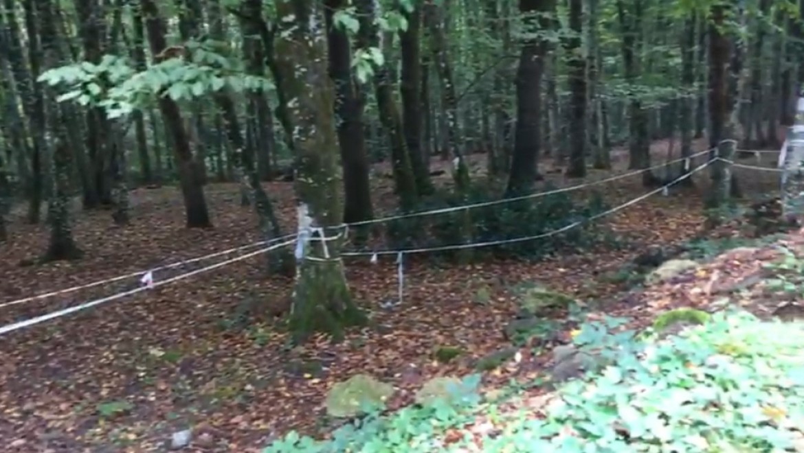 Cemal Kaşıkçı'nın İzi Belgrad Ormanı'nda Aranıyor