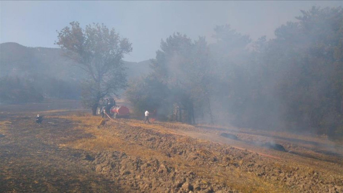Bolu'daki Yangın Kontrol Altına Alındı
