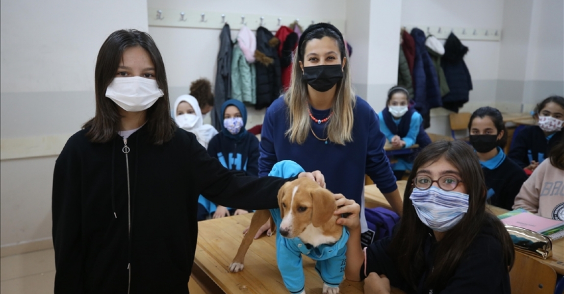 Ordu'da öğrencilerin "Karamel" adını verdiği köpek okulun maskotu oldu