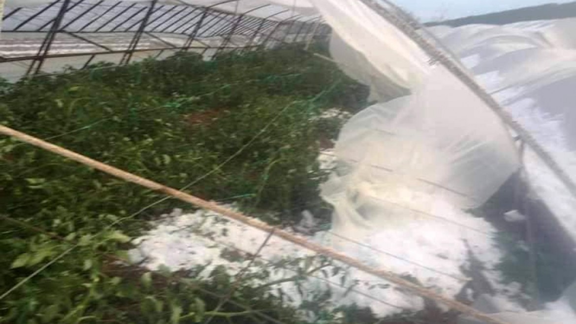 Antalya'da çiftçiyi Dolu Vurdu