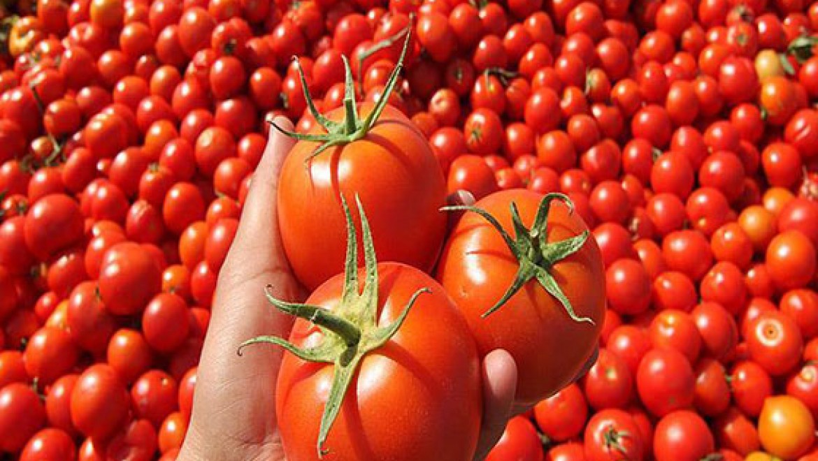 Temmuzda en fazla domatesin fiyatı arttı