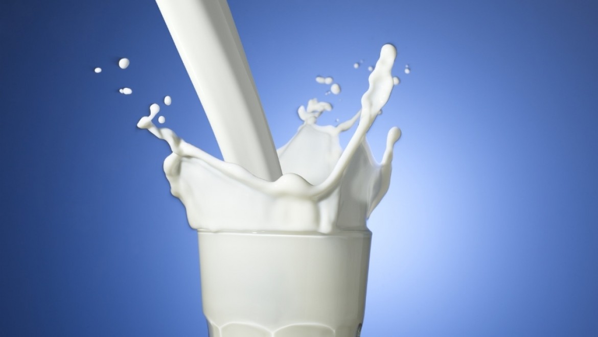 Toplanan İnek Sütü Miktarı Azaldı