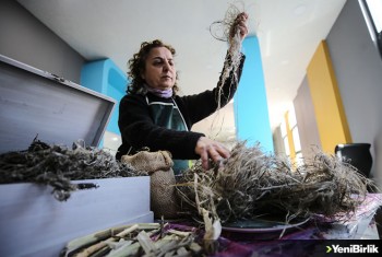 Kadın girişimci, keneviri geleneksel yöntemlerle kağıda dönüştürüyor
